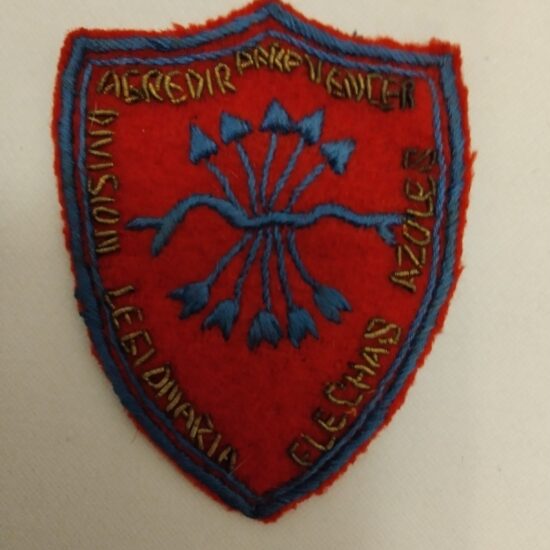 scudetto frecce azurre- flechas azules