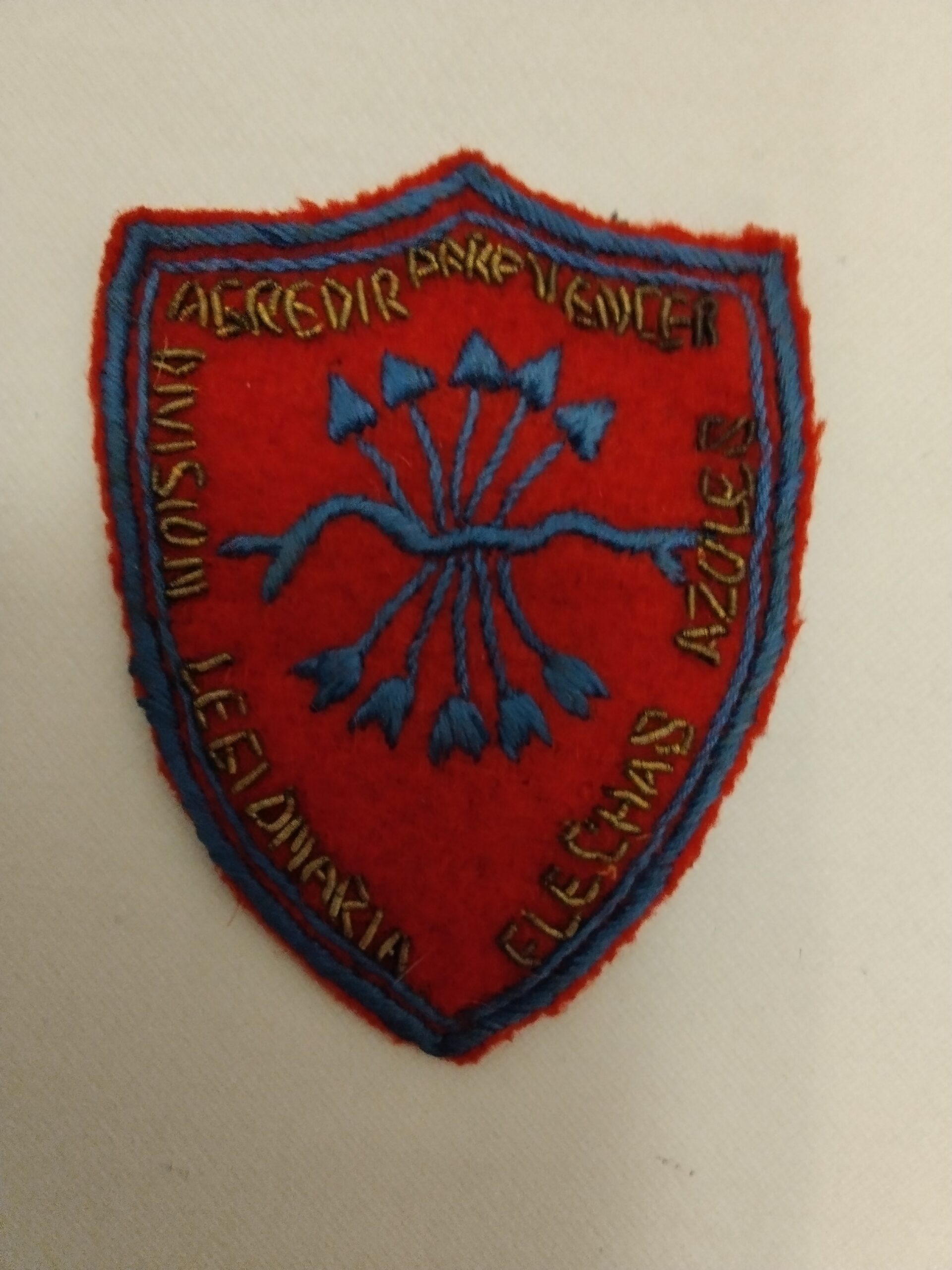 scudetto frecce azurre- flechas azules scudetto frecce azurre- flechas azules